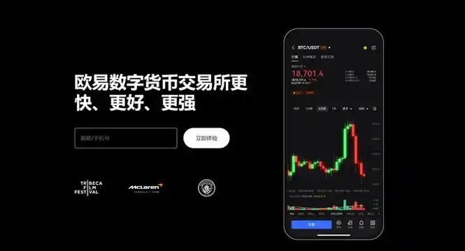 欧一钱包系统展示图